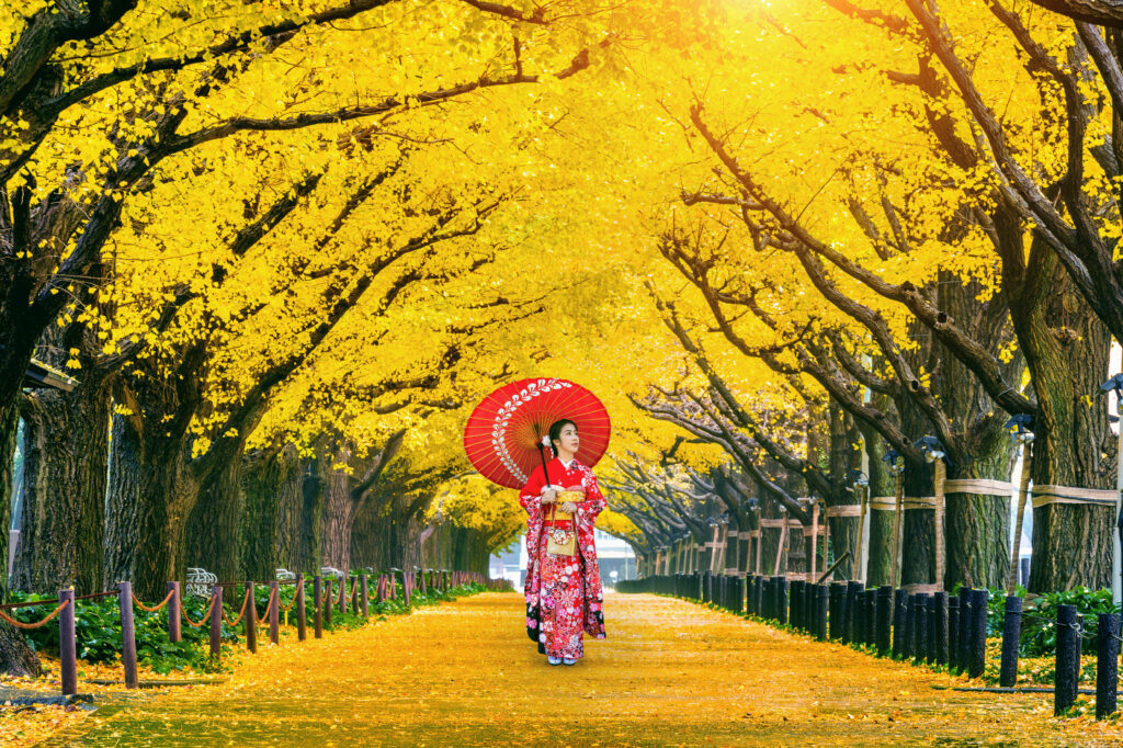 Giesha Girl strolling in canvas of trees with bright yellow leaves (Photo Credit: Shutterstock)