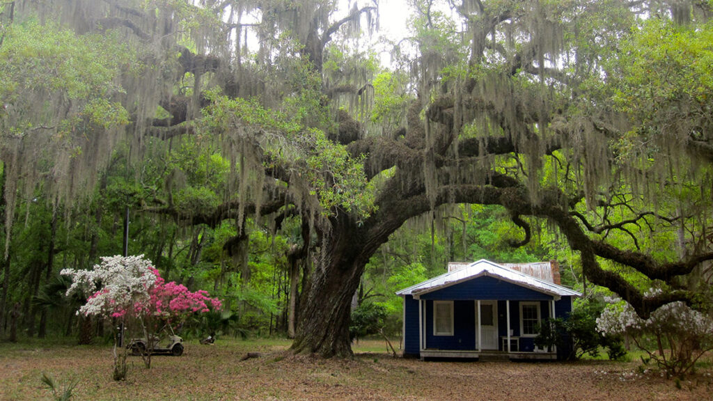 Gullah Geechee, Daufuskie Island, South Carolina (Photo Credit: Discover South Carolina)