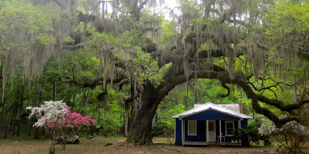 Gullah Geechee, Daufuskie Island, South Carolina (Photo Credit: Discover South Carolina)