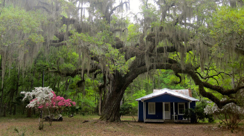 Gullah Geechee, Daufuskie Island, South Carolina (Photo Credit: Discover South Carolina)