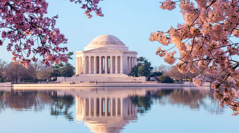 Cherry Blossom Trees near the Jefferson Memorial in Washignton, DC (Photo Credit: Steve Heap / Shutterstock)