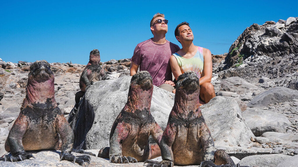 Marine Iguanas on Española Island (Photo Credit: David Ballesteros for Hurtigruten Expeditions)