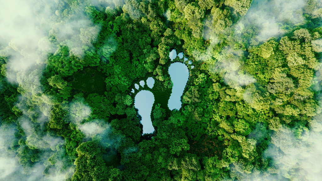 How Travelers Can Reduce Their Carbon Footprint (Photo Credit: Petmal / iStock)