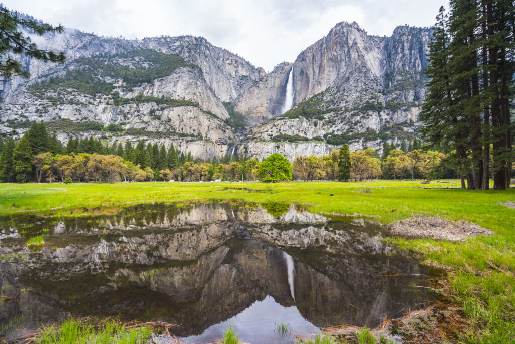 Yosemite National Park (Photo Credit: Joecho-16 / iStock)