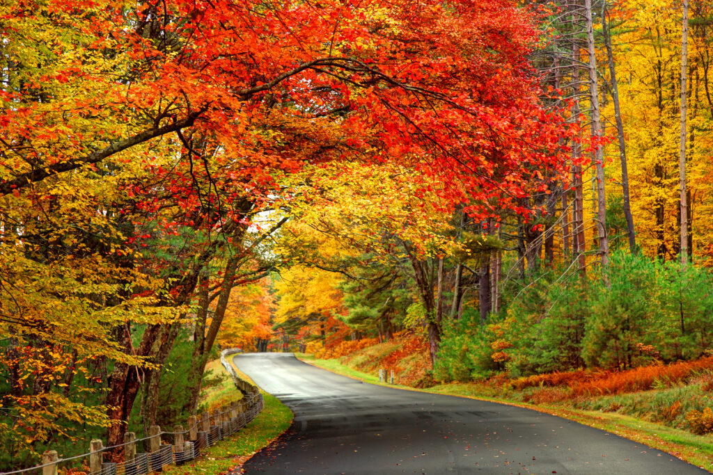 Fall Foliage Road Trips (Photo Credit: DenisTangneyJr / iStock)