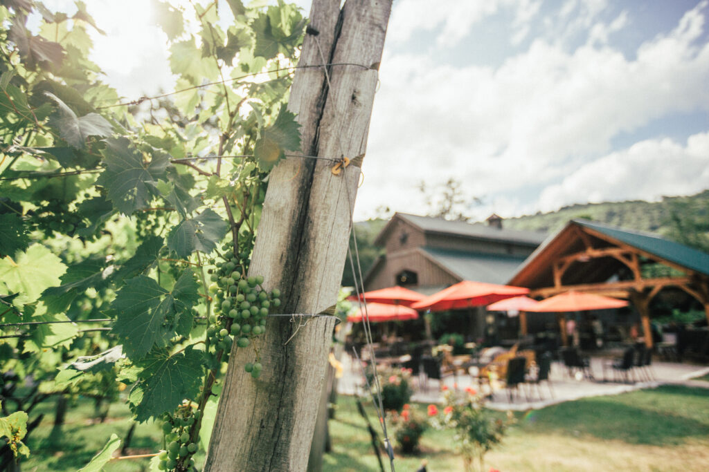 Grandfather Vineyard & Winery (Photo Credit: Explore Boone)