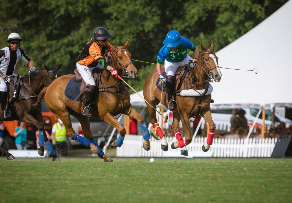 (Photo courtesy of the Gay Polo League)