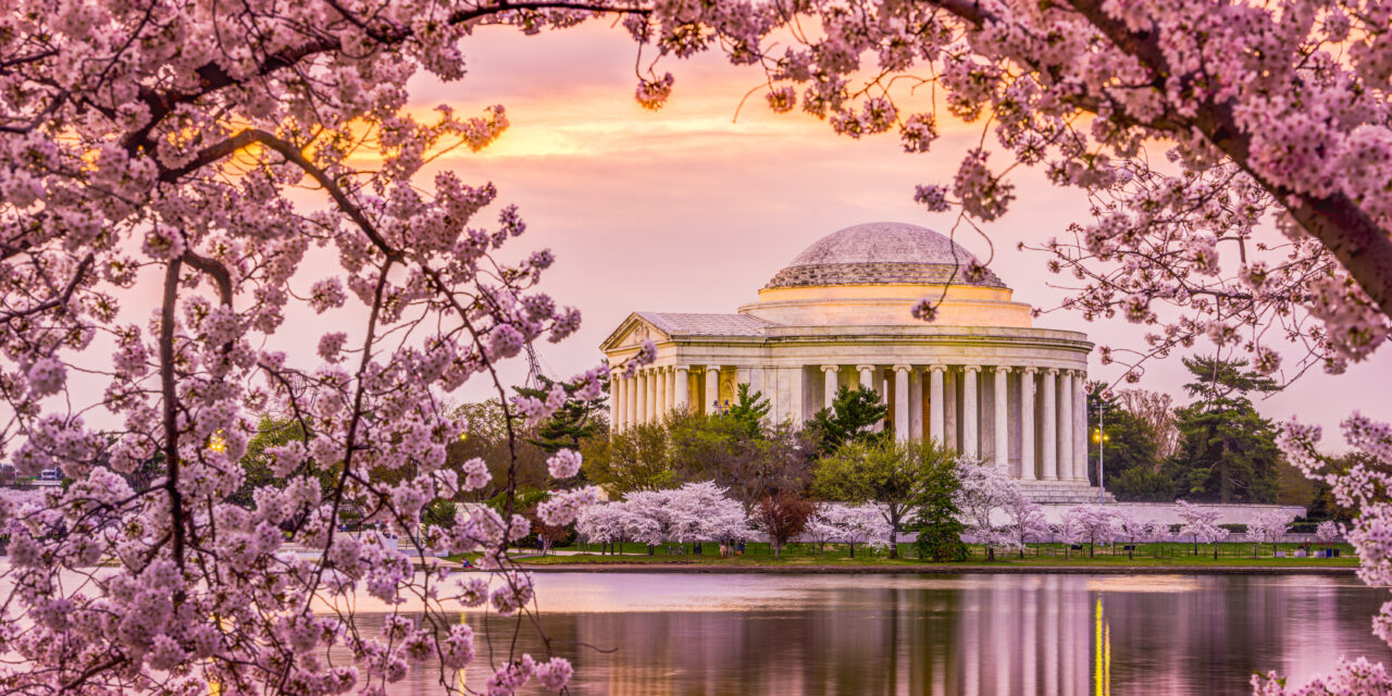 Stay at the Sofitel Washington DC and Celebrate Cherry Blossom Season