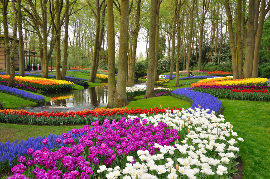 Keukenhof Gardens in Amsterdam (Photo Credit: Dmitry Eagle Orlov / Shutterstock)