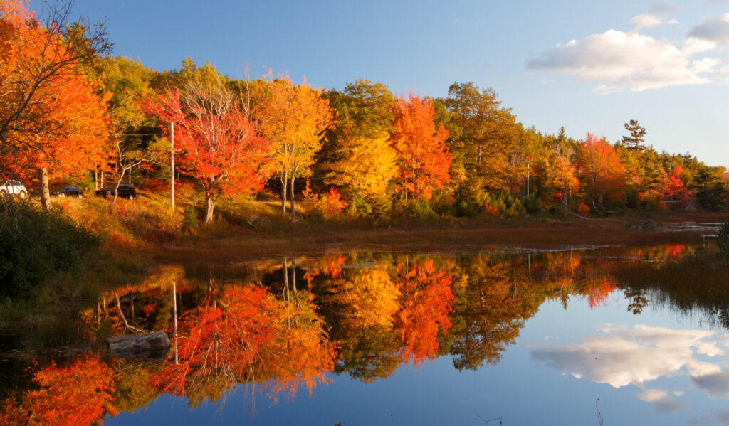 Acadia National Park in Maine (Photo Credit: Barbara Barbour / Shutterstock)