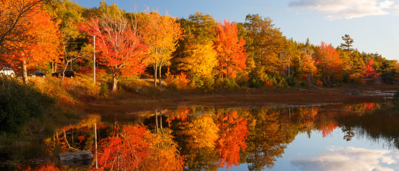 Acadia National Park in Maine (Photo Credit: Barbara Barbour / Shutterstock)