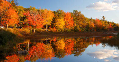 Acadia National Park in Maine (Photo Credit: Barbara Barbour / Shutterstock)