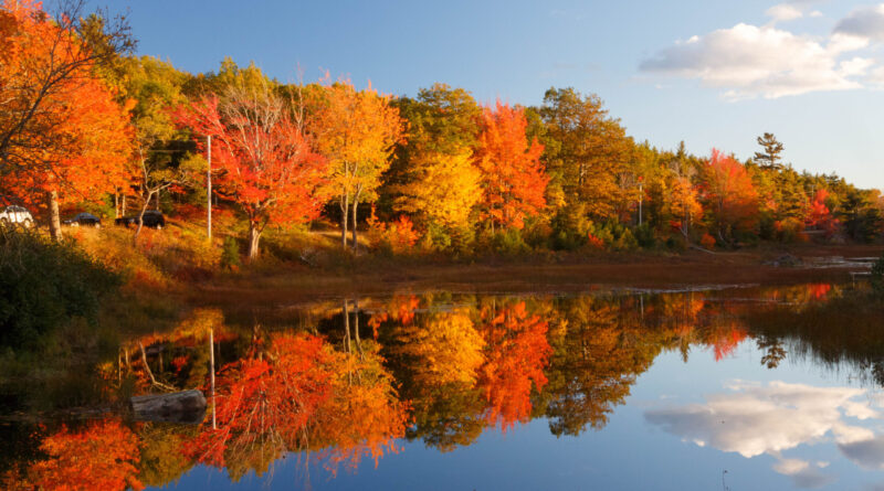 Acadia National Park in Maine (Photo Credit: Barbara Barbour / Shutterstock)